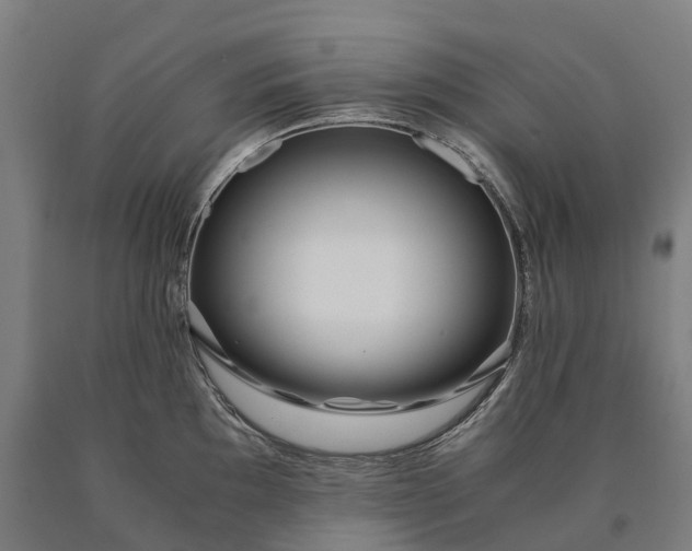 X0000090601097200707311156