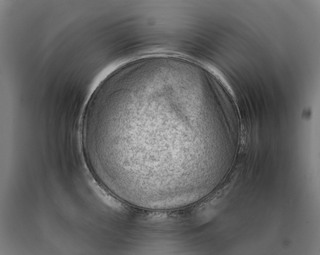 X0000090601098200707311156