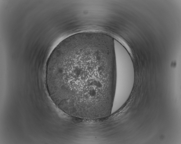 X0000090601099200707311156