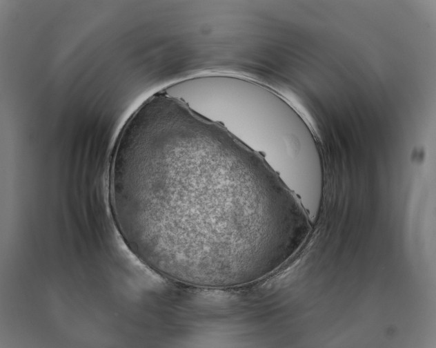 X0000090601100200707311156