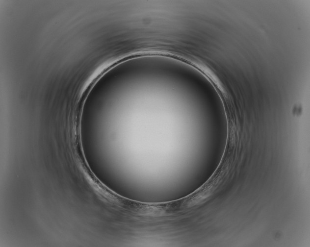 X0000090601101200707311156