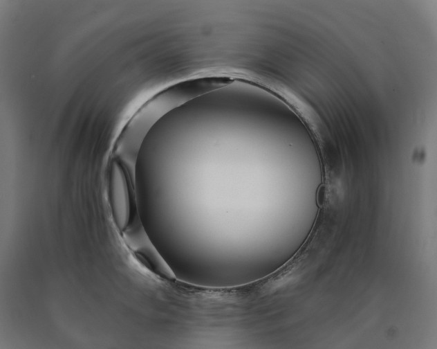 X0000090601102200707311156