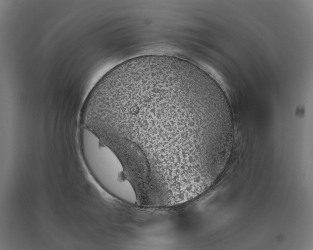 X0000090601103200707311156