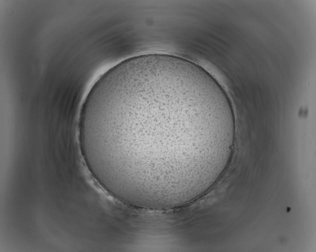 X0000090601104200707311156