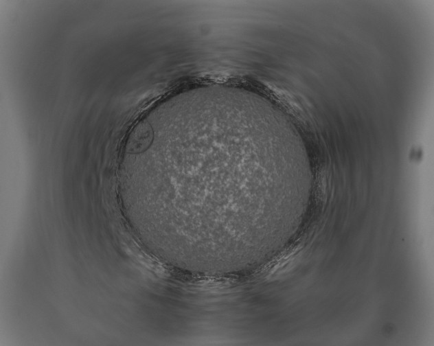 X0000090601105200707311155