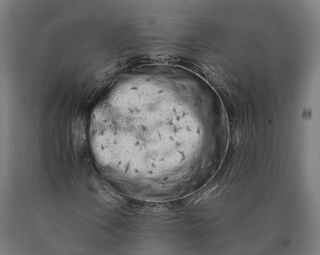 X0000090601106200707311155