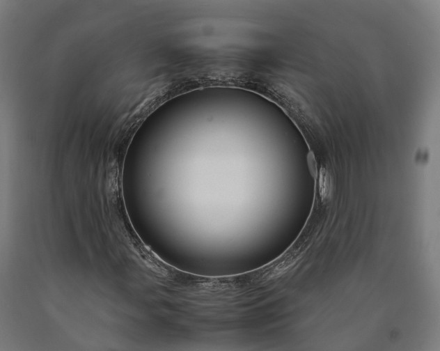 X0000090601107200707311155