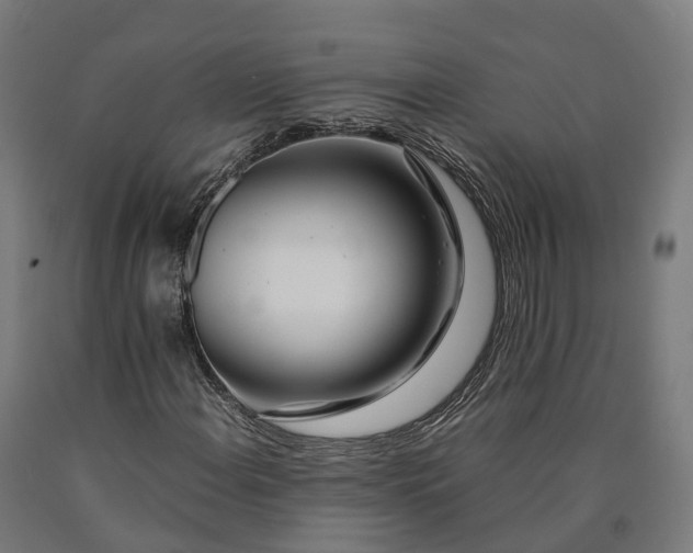 X0000090601108200707311155