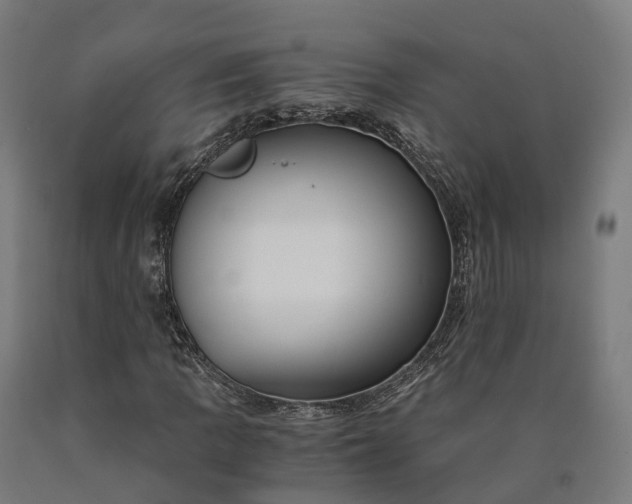 X0000090601109200707311155