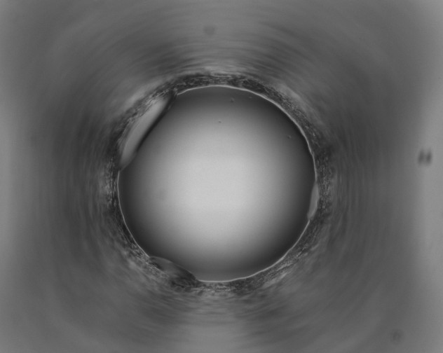 X0000090601110200707311155