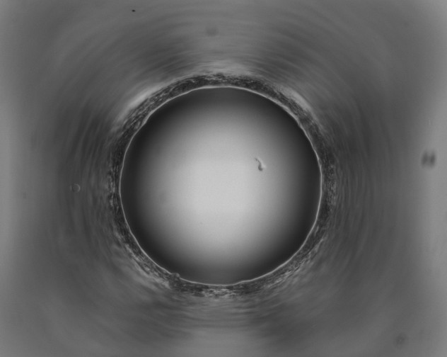 X0000090601112200707311155