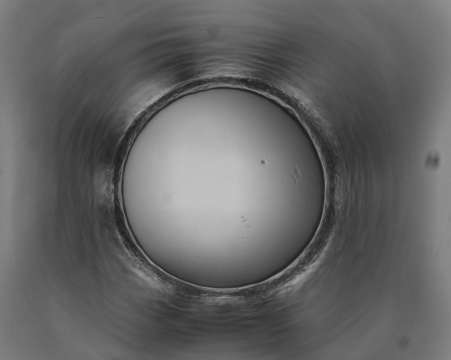 X0000090601113200707311155