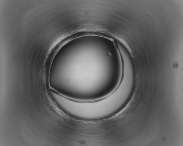 X0000090601114200707311155