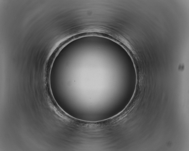 X0000090601116200707311156