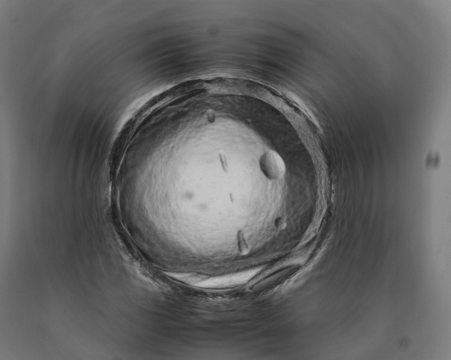 X0000090601117200707311156