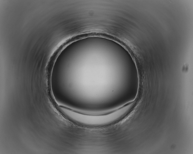 X0000090601118200707311156