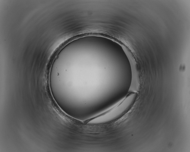 X0000090601119200707311156