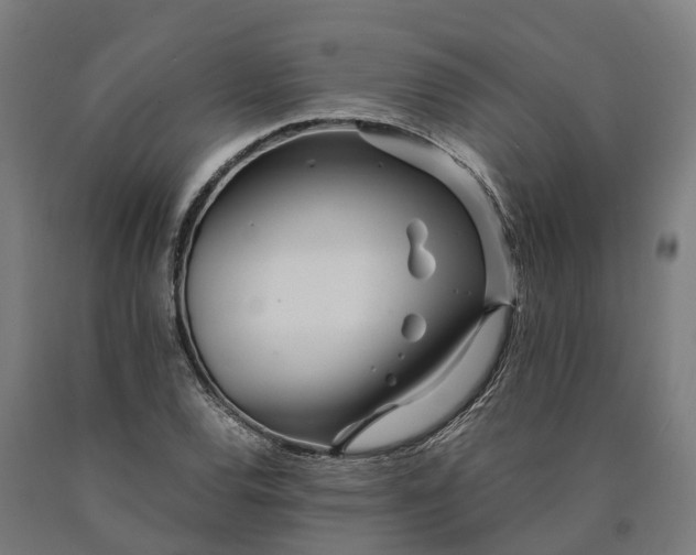 X0000090601120200707311156