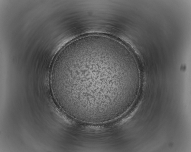 X0000090601121200707311156