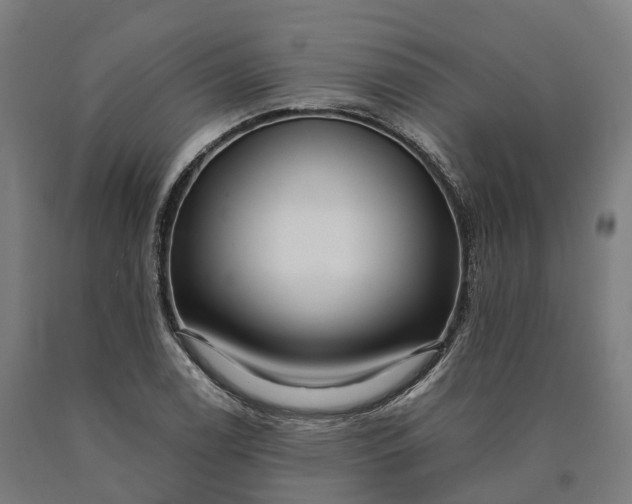 X0000090601122200707311156