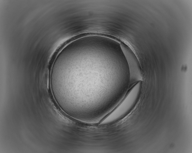 X0000090601123200707311156