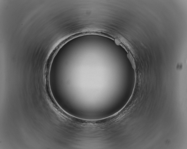 X0000090601124200707311156