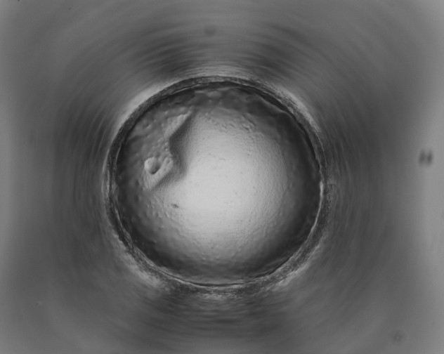 X0000090601125200707311156