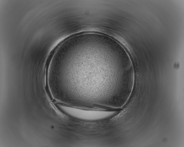 X0000090601127200707311156