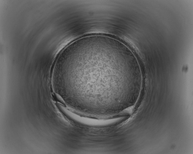 X0000090601129200707311156