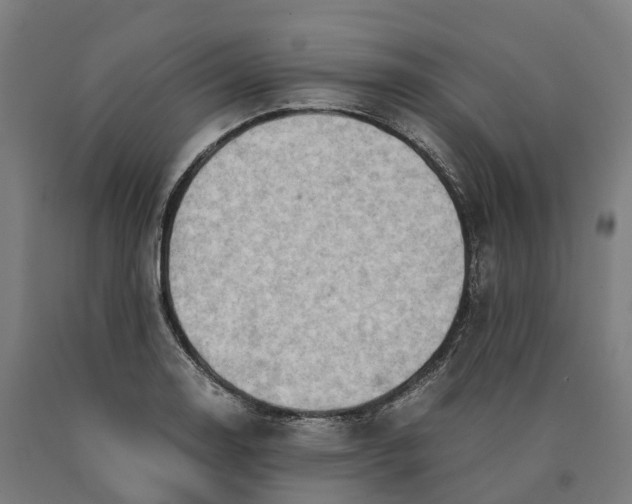 X0000090601130200707311156