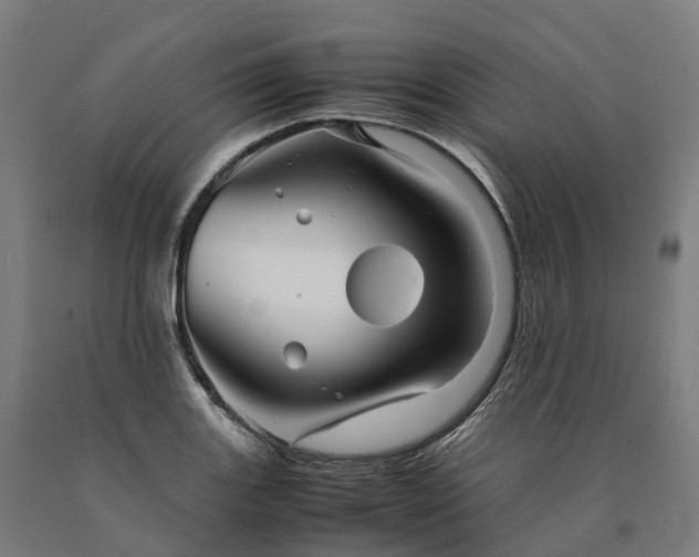 X0000090601131200707311156