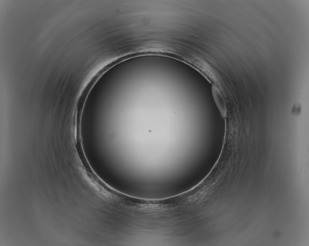 X0000090601132200707311156