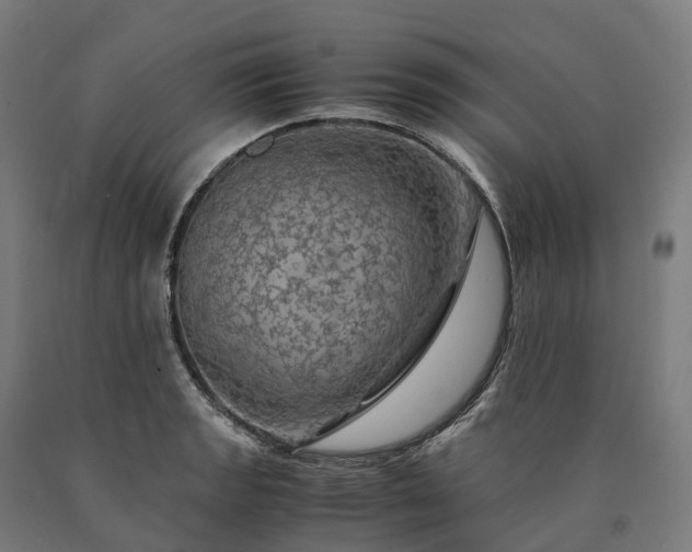 X0000090601133200707311156