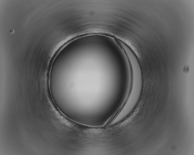 X0000090601134200707311156