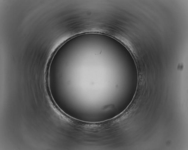 X0000090601135200707311156