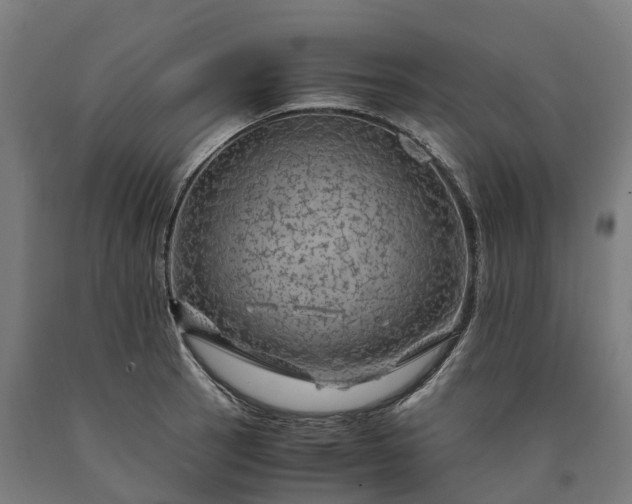 X0000090601137200707311156