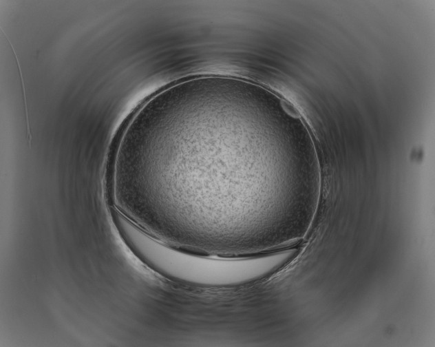 X0000090601139200707311156