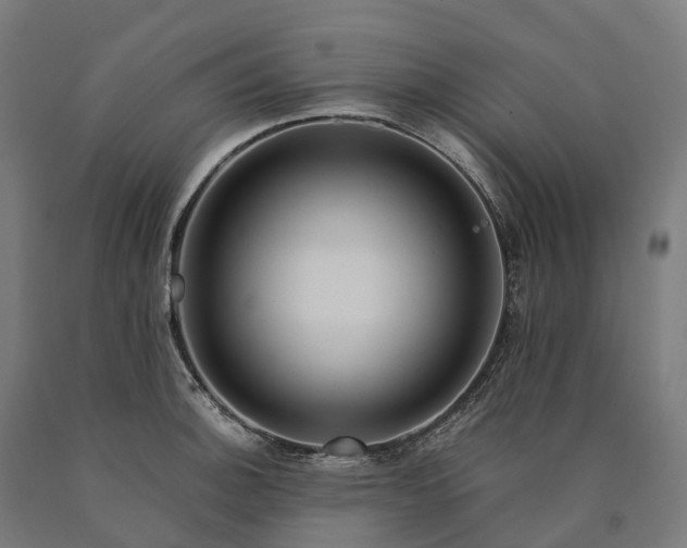 X0000090601140200707311156