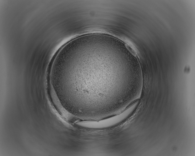 X0000090601142200707311156