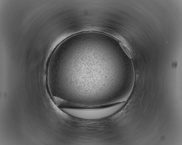 X0000090601143200707311156