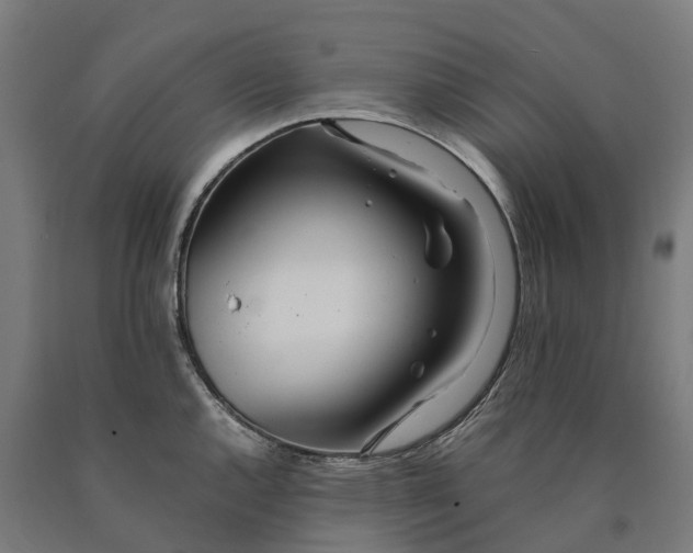 X0000090601144200707311156