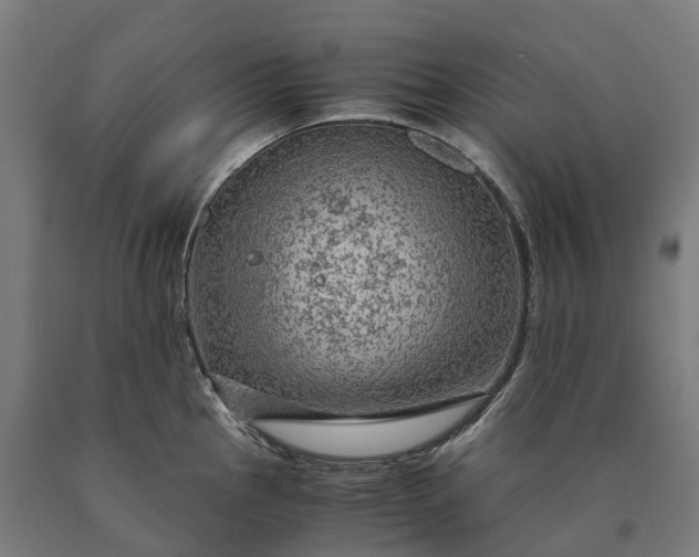 X0000090601145200707311156