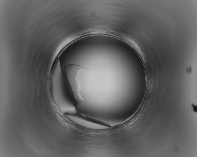 X0000090601146200707311156