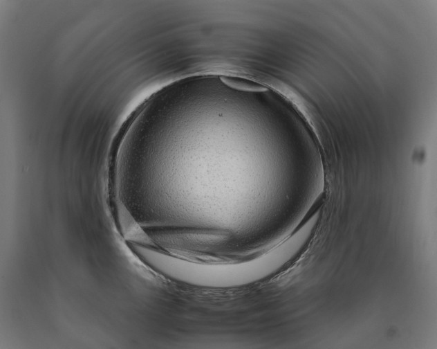 X0000090601147200707311156