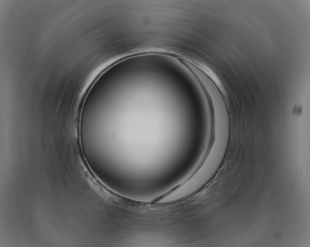 X0000090601148200707311156