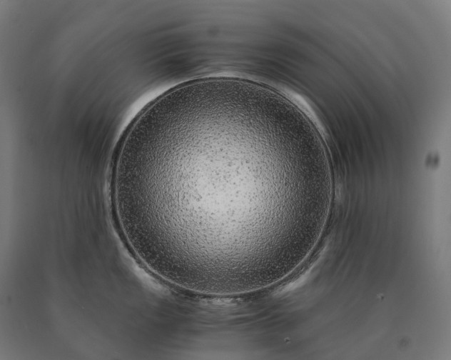 X0000090601149200707311156