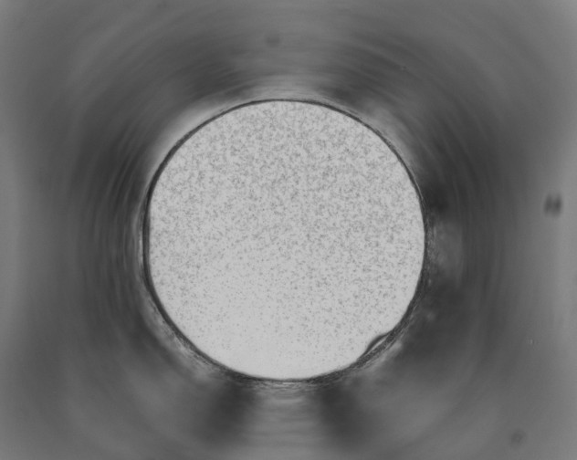 X0000090601150200707311156