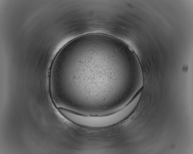 X0000090601151200707311156