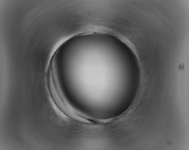 X0000090601152200707311156