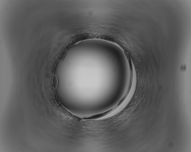 X0000090601153200707311155